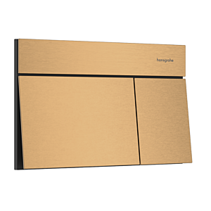 Hansgrohe iFrame Element E Flush plate for dual flush # 66003