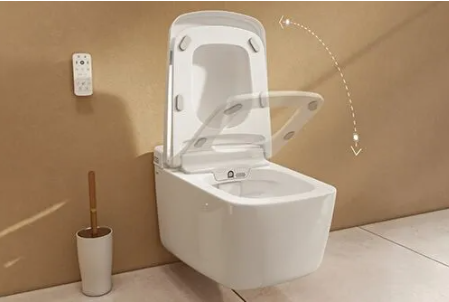 Smart Bidet Remote Control